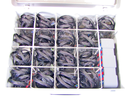 PRCS-YAN-002-v04.png