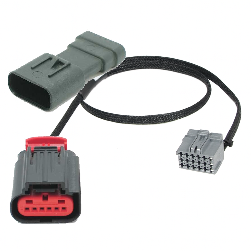 [PRY6-0025] PRY6-0025