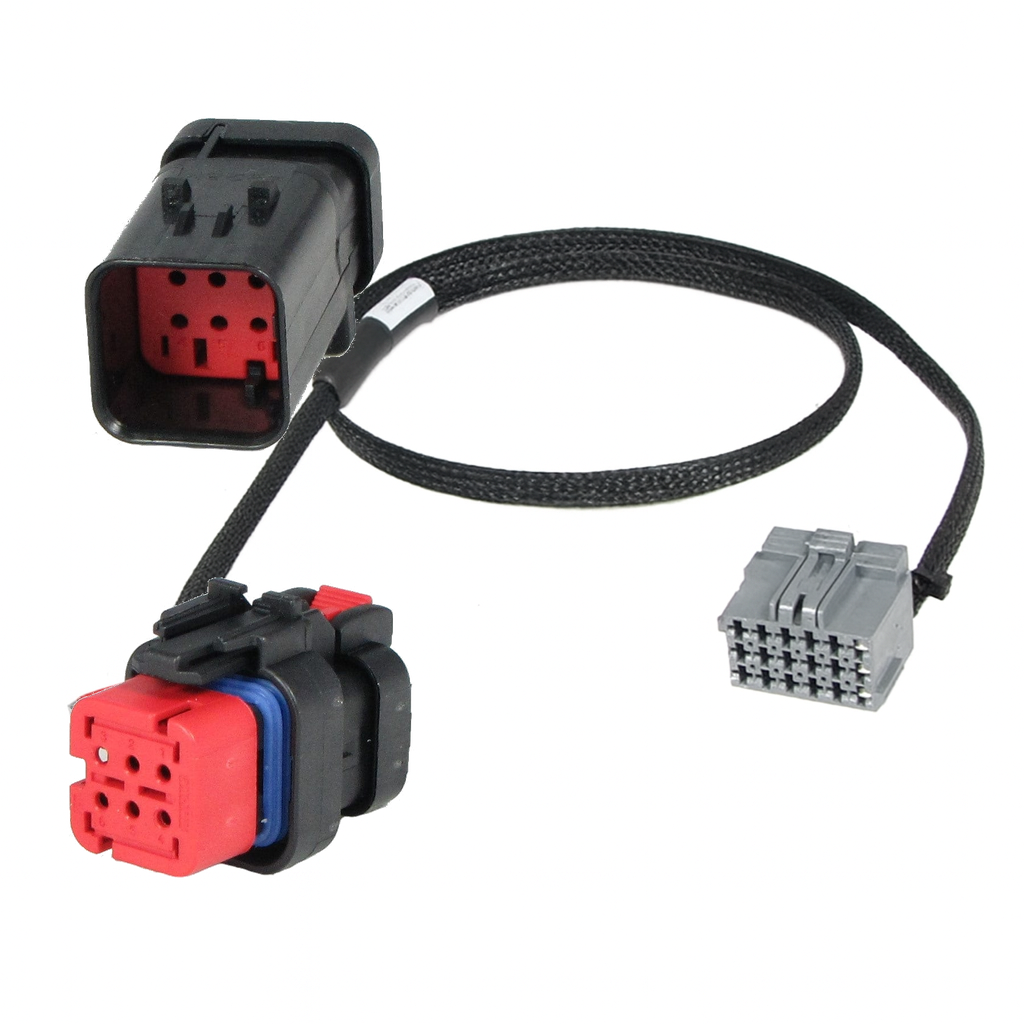 [PRY6-0029] PRY6-0029