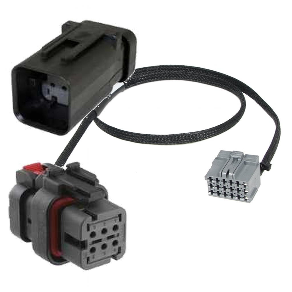 [PRY6-0051] PRY6-0051