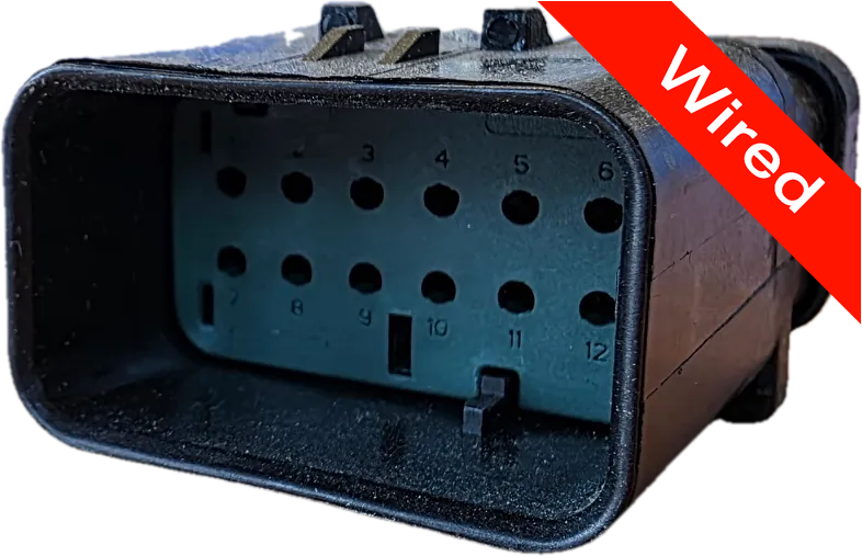 12 Pins Male connector with 10 cm wires | PRCW12-0010-A