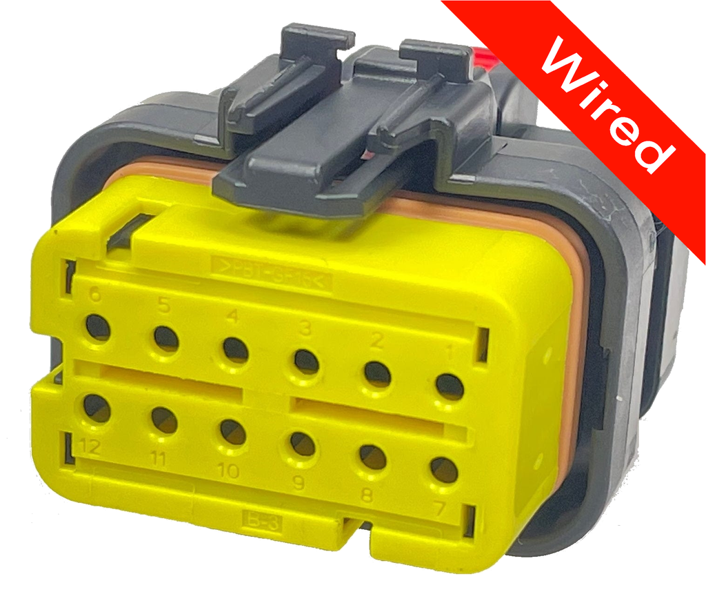 [PRCW12-0029-B] 12 Pins Female connector with 10 cm wires | PRCW12-0029-B