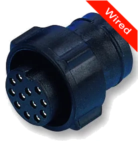 [PRCW12-0031-B] 12 Pin Female connector with 10cm wires | PRCW12-0031-B