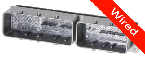 186 Pins Male connector with 10 cm wires | PRCW186-0002-A