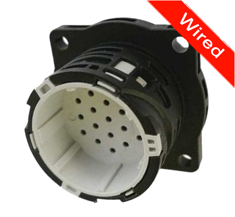 19 Pins Male connector with 10 cm wires | PRCW19-0001-A