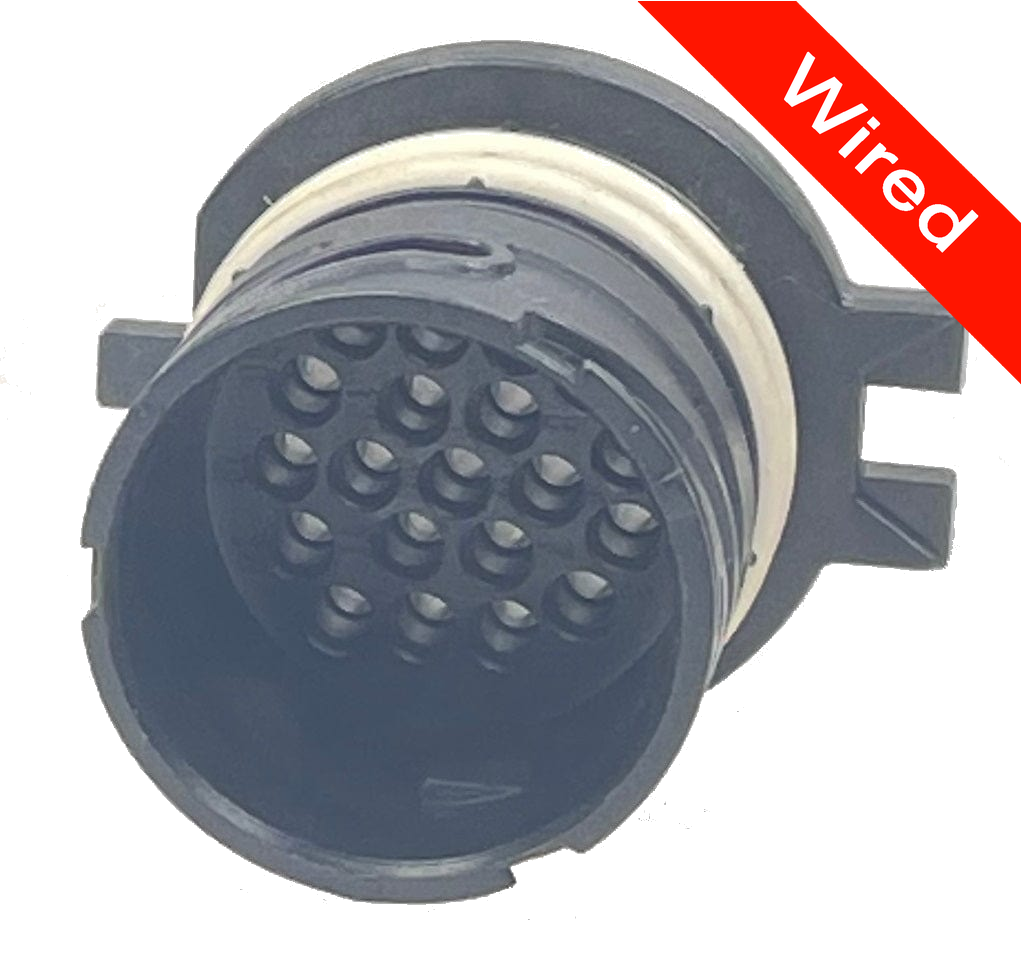 20 Pins Male connector with 10 cm wires | PRCW20-0003-A
