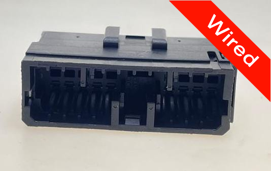 20 Pins Male connector with 10 cm wires | PRCW20-0009-A
