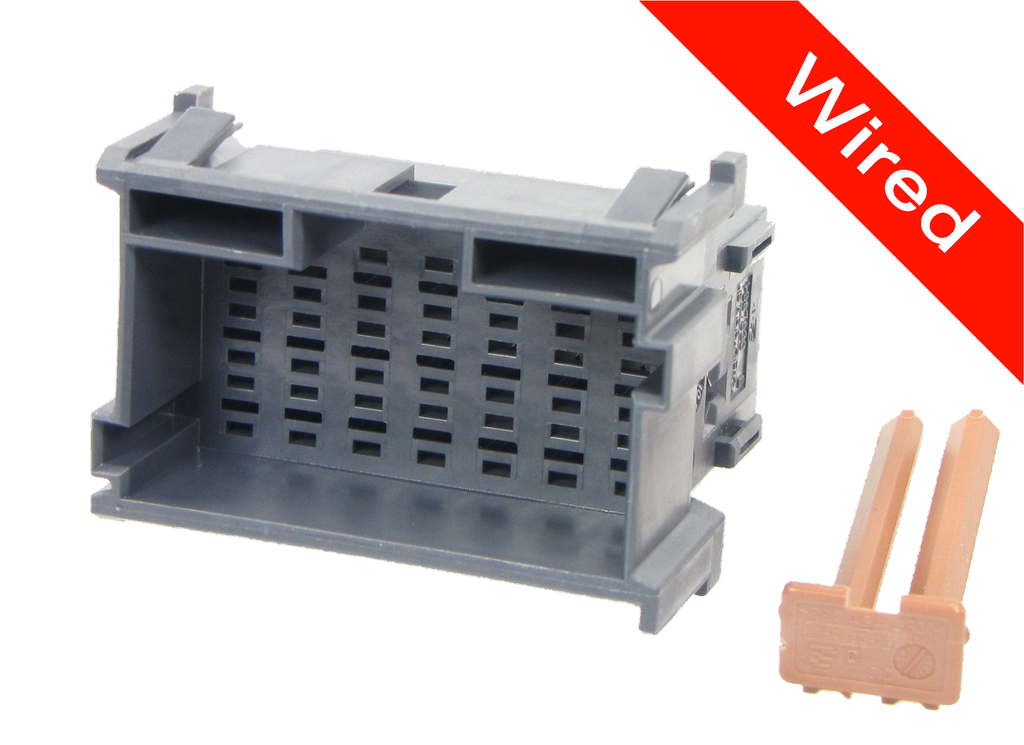 21 Pins Male connector with 10 cm wires | PRCW21-0001-A