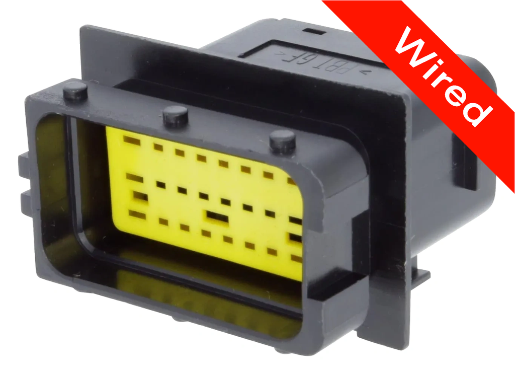 24 Pins Male connector with 10 cm wires | PRCW24-0004-A