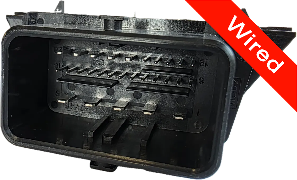 28 Pins Male connector with 10 cm wires | PRCW28-0003-A