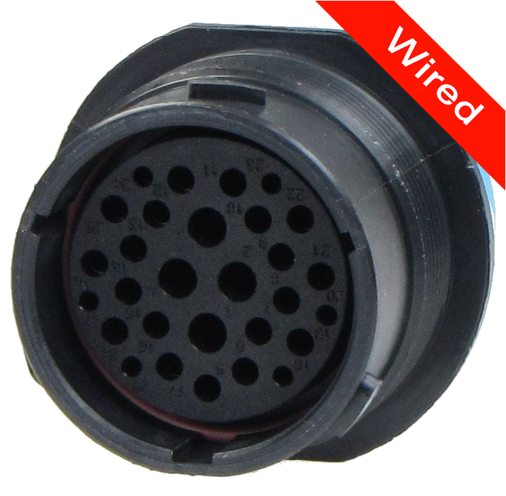 29 Pins Male connector with 10 cm wires | PRCW29-0001-A