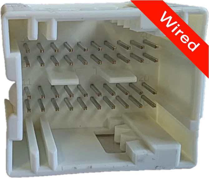 [PRCW40-0003-A] 40 Pins Male connector with 10 cm wires | PRCW40-0003-A