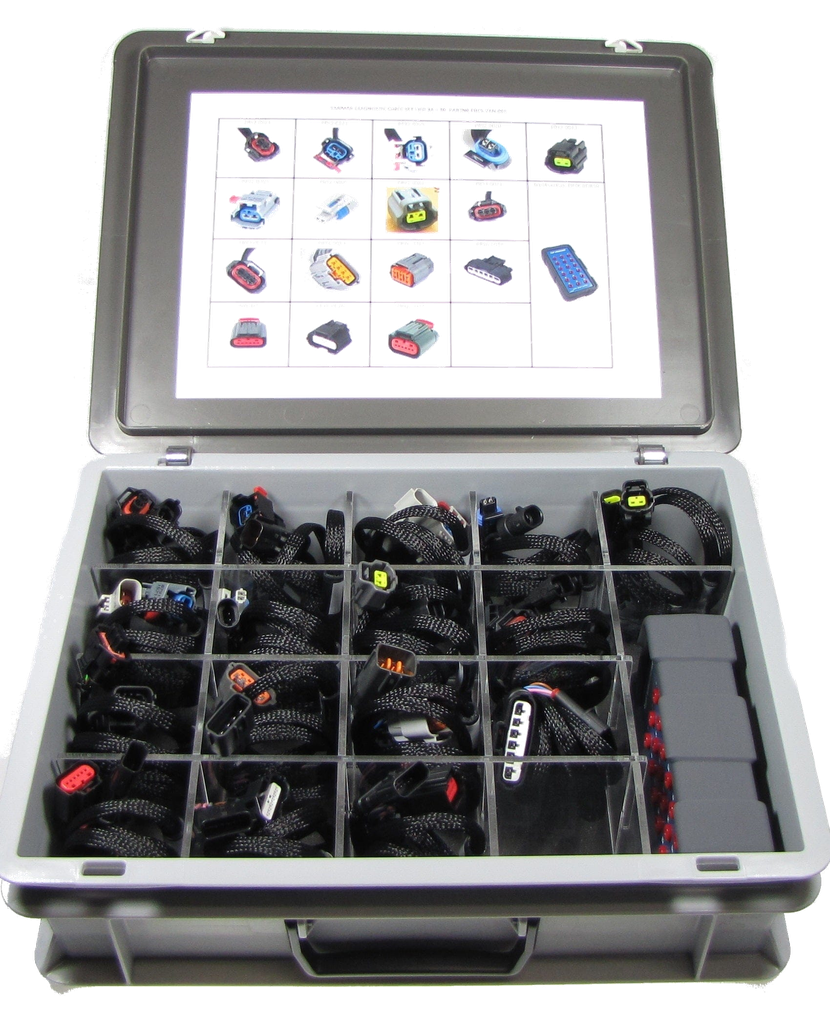 [PRCS-YAN-001] PRCS-YAN-001